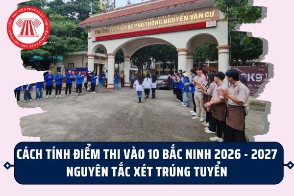 Pháp luật