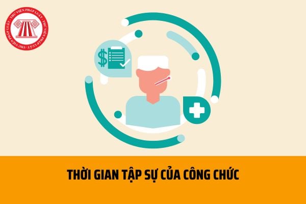 Thời gian nghỉ ốm đau có tính vào thời gian tập sự của công chức không theo quy định hiện nay?