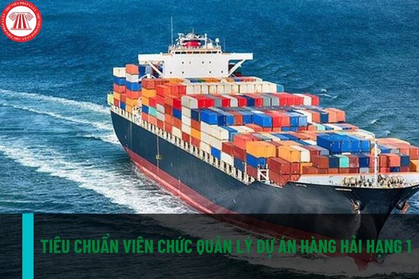 Viên chức Quản lý dự án hàng hải hạng 1 có mã số thế nào? Tiêu chuẩn bổ nhiệm viên chức Quản lý dự án hàng hải hạng 1 là gì?