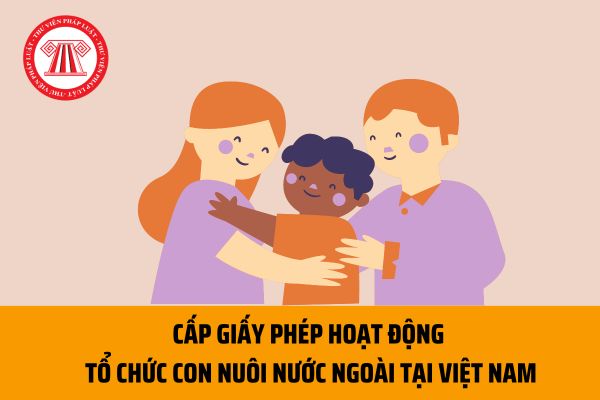 Thủ tục cấp giấy phép hoạt động của tổ chức con nuôi nước ngoài tại Việt Nam tại Cục Con nuôi (Bộ Tư pháp) ra sao?