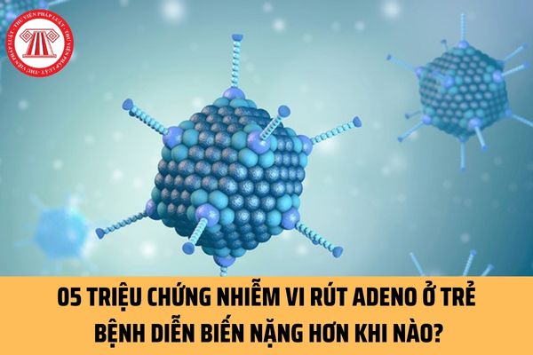 05 triệu chứng nhiễm vi rút Adeno ở trẻ là gì? Bệnh do vi rút Adeno diễn biến nặng hơn trong những trường hợp nào?