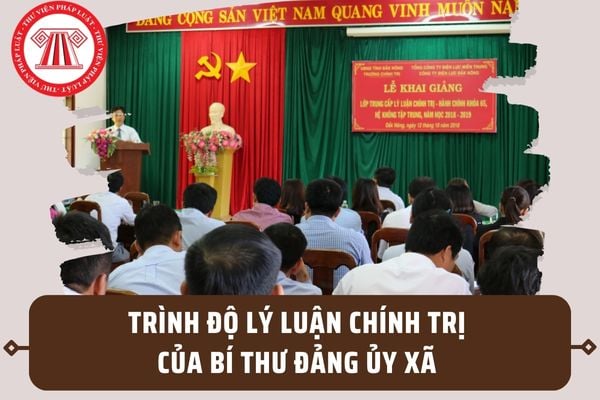 Yêu cầu về trình độ lý luận chính trị của Bí thư Đảng ủy xã là gì? Bí thư Đảng ủy xã phải đáp ứng tiêu chuẩn gì?