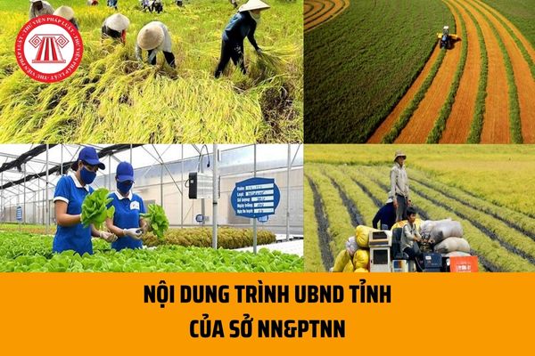Sở Nông nghiệp và Phát triển nông thôn sẽ trình UBND tỉnh những nội dung gì? Sở NN&PTNT quản lý bao nhiêu lĩnh vực?