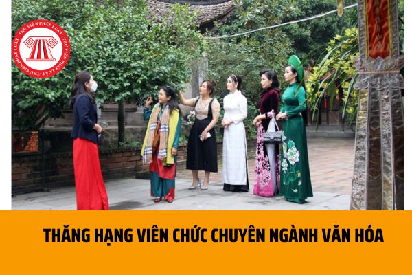 Tiêu chuẩn, điều kiện thăng hạng của viên chức chuyên ngành văn hóa theo quy định mới nhất ra sao?