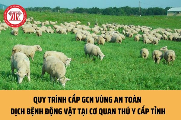 Quy trình cấp Giấy chứng nhận vùng an toàn dịch bệnh động vật thực hiện tại Cơ quan thú y cấp tỉnh hiện nay ra sao?