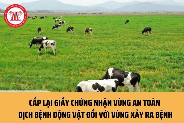 Vùng xảy ra bệnh được cấp lại Giấy chứng nhận vùng an toàn dịch bệnh động vật trong trường hợp nào?