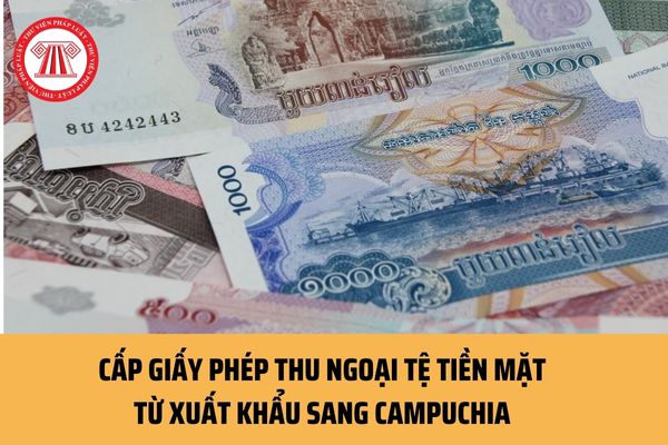 Hồ sơ, thủ tục xin cấp giấy phép thu ngoại tệ tiền mặt từ xuất khẩu sang Campuchia hiện nay như thế nào?