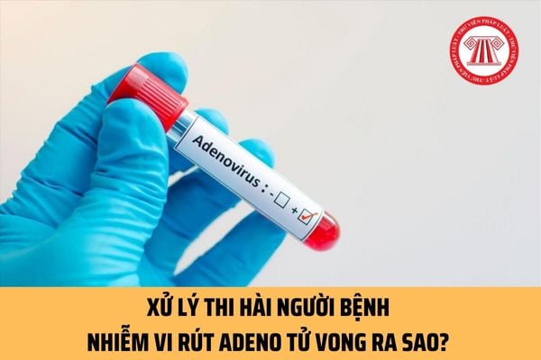 Xử lý thi hài người bệnh nhiễm vi rút Adeno tử vong ra sao? Dựa vào đâu để nhận biết người bệnh nhiễm vi rút Adeno đang ở tình trạng nguy kịch?