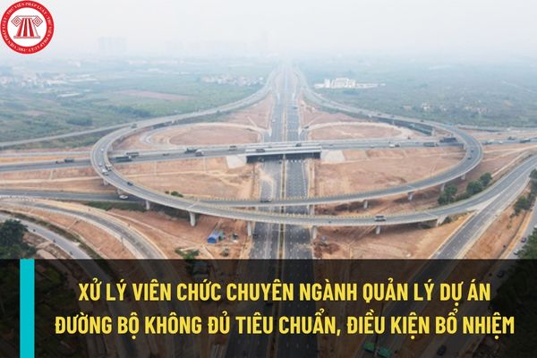 Từ ngày 01/03/2023, viên chức chuyên ngành quản lý dự án đường bộ không đủ tiêu chuẩn, điều kiện bổ nhiệm theo quy định mới thì xử lý thế nào?