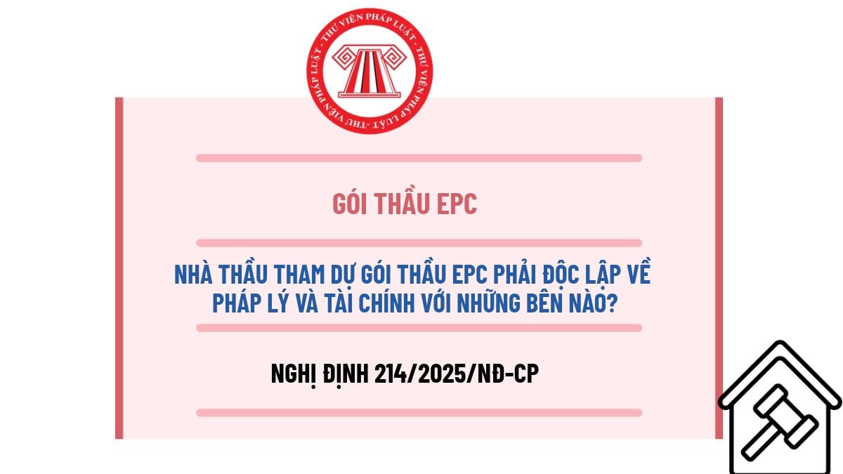 Pháp luật