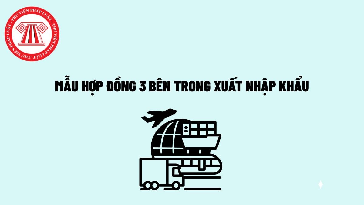 Pháp luật
