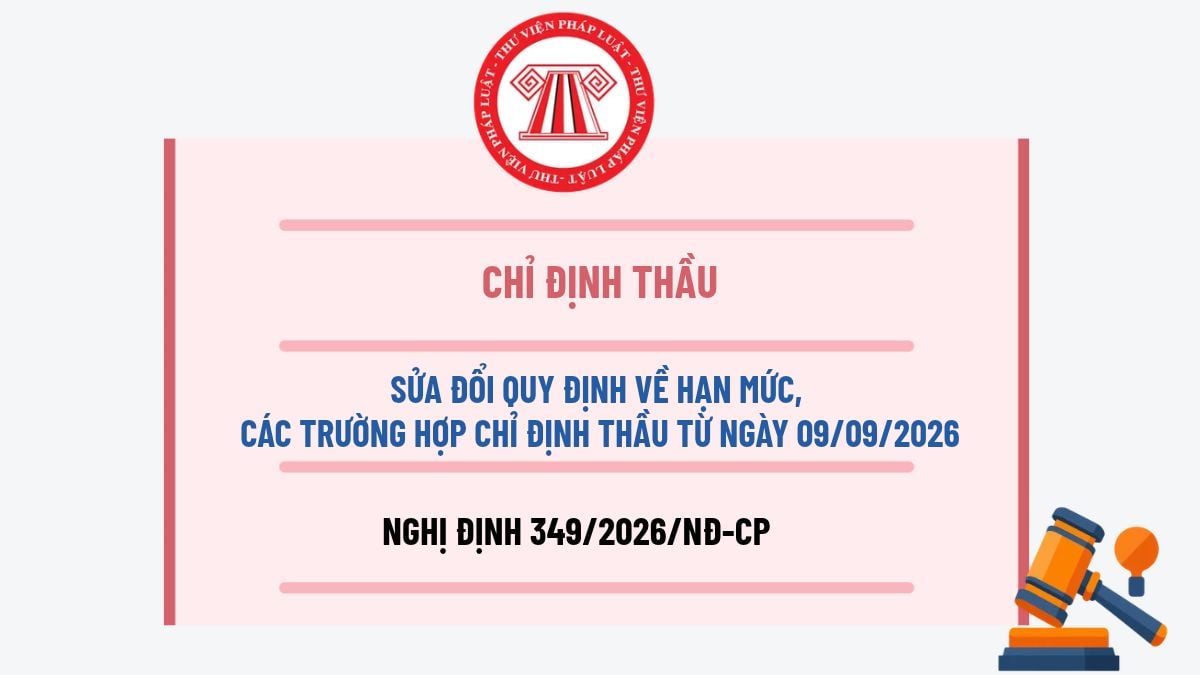 Pháp luật