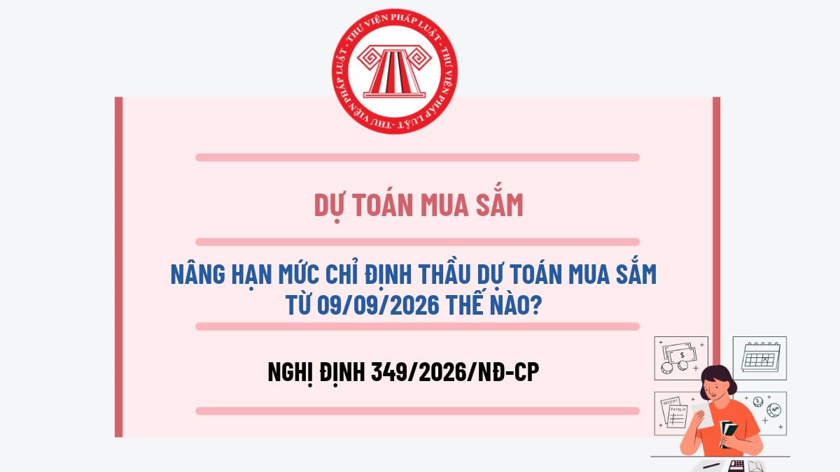 Pháp luật