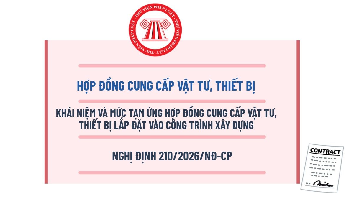 Pháp luật