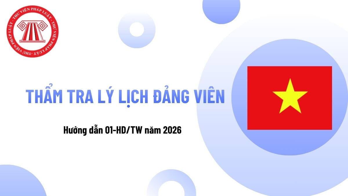 Pháp luật