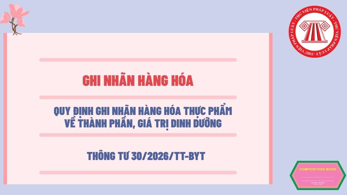 Pháp luật