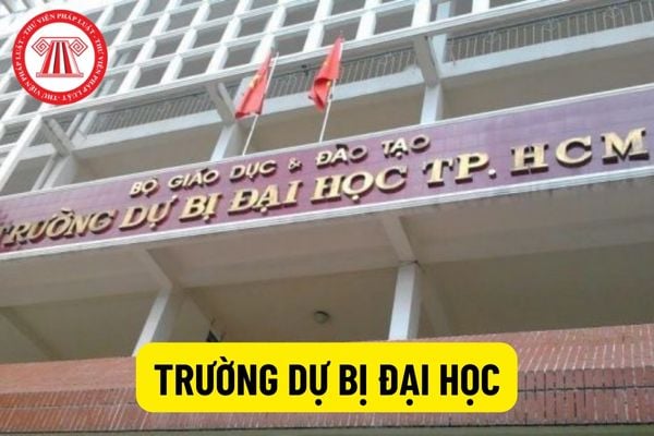 Những điều cần biết về trường dự bị đại học? Cơ cấu tổ chức của trường dự bị đại học như thế nào?