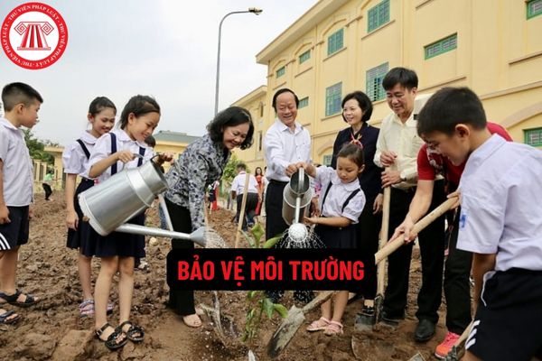 Trách nhiệm và quyền hạn của Mặt trận Tổ quốc Việt Nam trong hoạt động bảo vệ môi trường là gì? 
