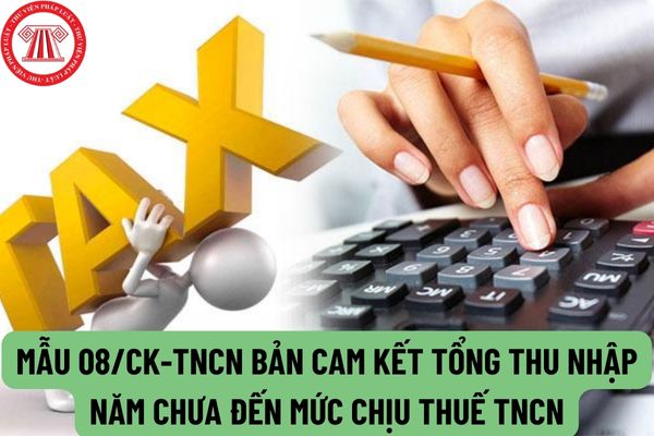 Mẫu 08/CK-TNCN bản cam kết tổng thu nhập năm chưa đến mức chịu thuế TNCN như thế nào?