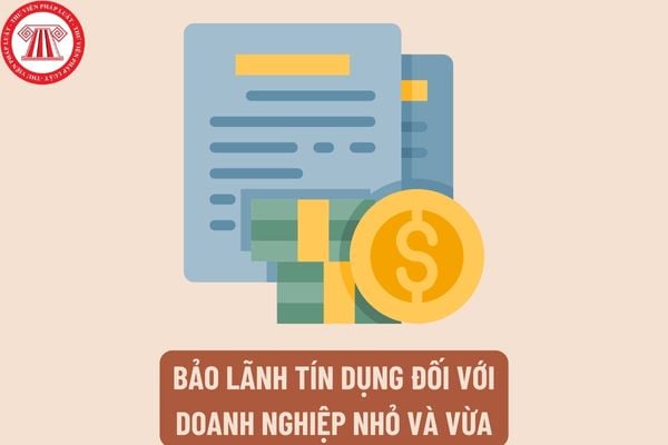 Quy trình thực hiện cam kết bảo lãnh tín dụng đối với doanh nghiệp nhỏ và vừa diễn ra như thế nào?