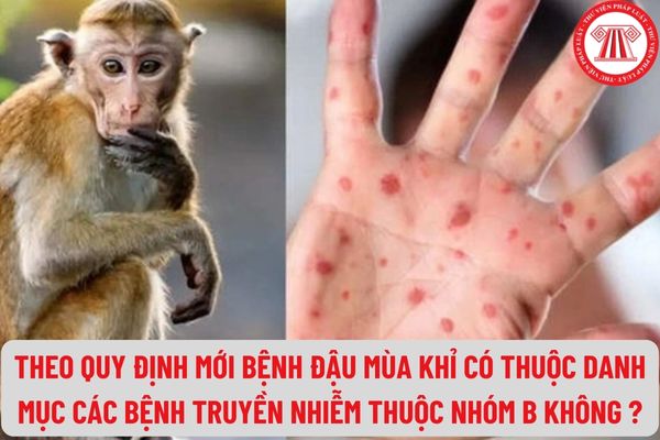 Theo quy định mới bệnh Đậu mùa khỉ có thuộc danh mục các bệnh truyền nhiễm thuộc nhóm B hay không ?