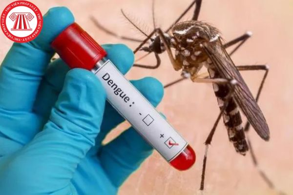 Để giảm tỷ lệ tử vong do bệnh sốt xuất huyết Dengue (SXHD) Sở Y tế đề nghị các cơ sở khám bệnh, chữa bệnh trên địa bàn Thành phố thực hiện nội dung gì?