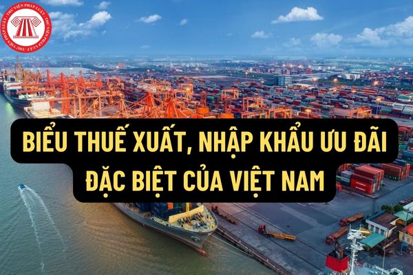 Tổng hợp 16 Nghị định Biểu thuế xuất, nhập khẩu ưu đãi đặc biệt của Việt Nam để thực hiện các Hiệp định thương mại?