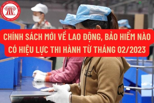 Có những chính sách mới về lao động, bảo hiểm nào có hiệu lực thi hành từ tháng 02/2023?