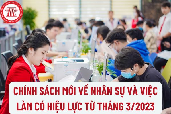 Chính sách mới về nhân sự và việc làm có hiệu lực từ tháng 3/2023? 10 vị trí việc làm lãnh đạo, quản lý lĩnh vực Ngân hàng?