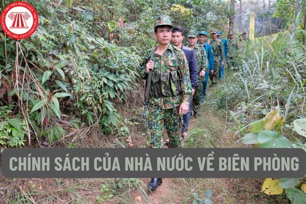 Nguyên tắc thực thi nhiệm vụ biên phòng là gì? Chính sách của Nhà nước về biên phòng như thế nào? 