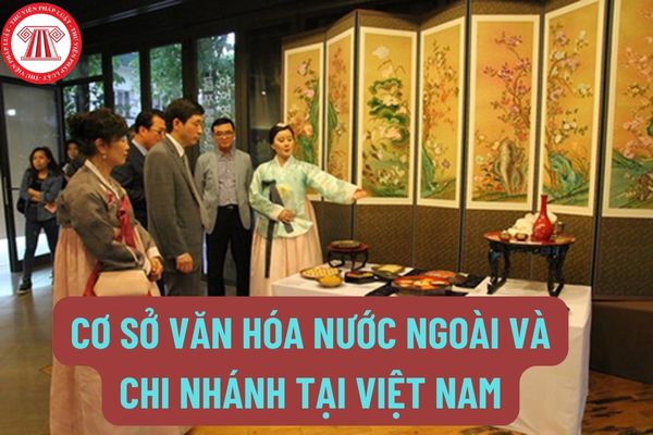 Khi cơ sở văn hóa nước ngoài và chi nhánh tại Việt Nam bị chấm dứt hoạt động thì phải thanh toán tiền thuế trong bao lâu?