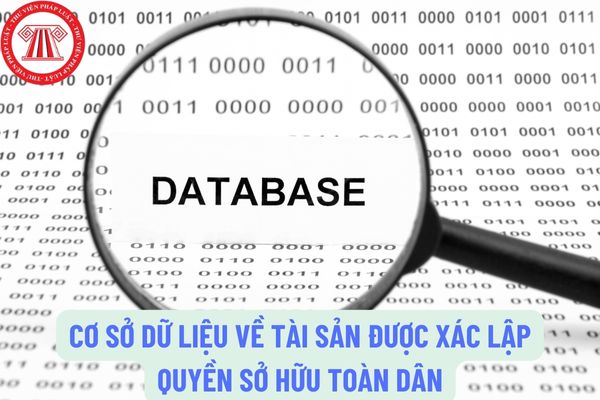 Quản lý, khai thác Cơ sở dữ liệu về tài sản được xác lập quyền sở hữu toàn dân như thế nào?