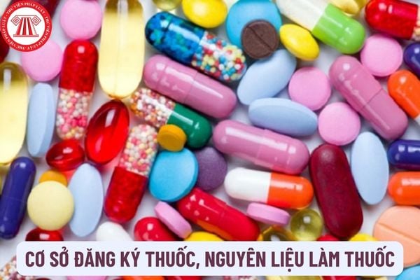 Cơ sở đăng ký thuốc, nguyên liệu làm thuốc là gì? Cơ sở đăng ký thuốc phải báo cáo theo dõi, đánh giá an toàn, hiệu quả của thuốc khi nào?