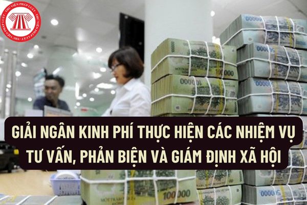 Giải ngân kinh phí thực hiện các nhiệm vụ tư vấn, phản biện và giám định xã hội của Liên hiệp Hội Việt Nam như thế nào?