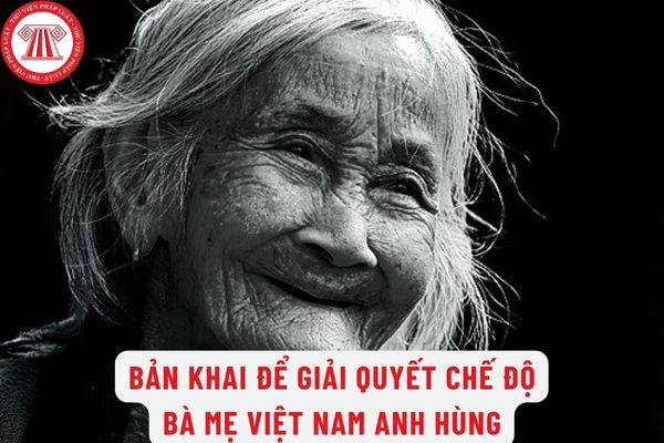 Bản khai để giải quyết chế độ Bà mẹ Việt Nam anh hùng mới nhất hiện nay là mẫu nào? Hồ sơ đề nghị giải quyết chế độ Bà mẹ Việt Nam anh hùng?