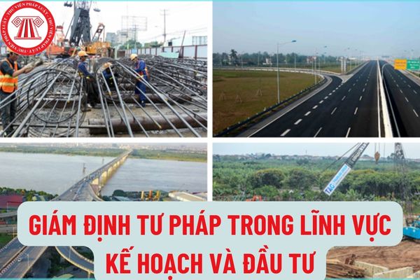 Việc thành lập Hội đồng giám định tư pháp trong lĩnh vực kế hoạch và đầu tư được thực hiện như thế nào?