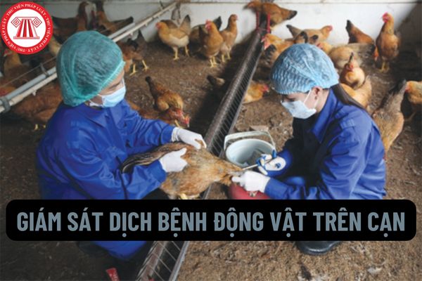 Việc giám sát dịch bệnh động vật trên cạn tại cơ sở chăn nuôi được thực hiện như thế nào?