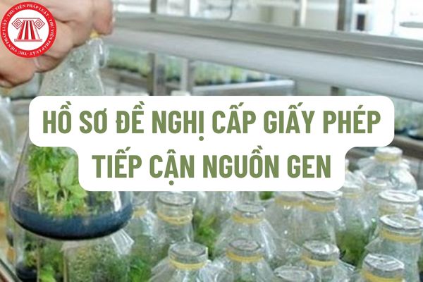 Hồ sơ đề nghị cấp Giấy phép tiếp cận nguồn gen gồm những gì? Nội dung thẩm định hồ sơ đề nghị cấp Giấy phép tiếp cận nguồn gen như thế nào?