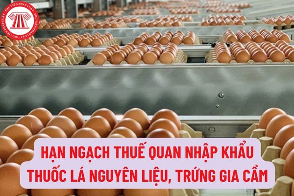 Hạn ngạch thuế quan nhập khẩu thuốc lá nguyên liệu, trứng gia cầm có xuất xứ từ các nước thành viên của Liên minh Kinh tế Á - Âu?