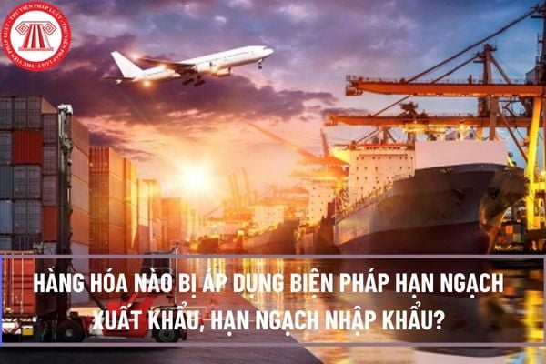 Hàng hóa nào bị áp dụng biện pháp hạn ngạch xuất khẩu, hạn ngạch nhập khẩu?