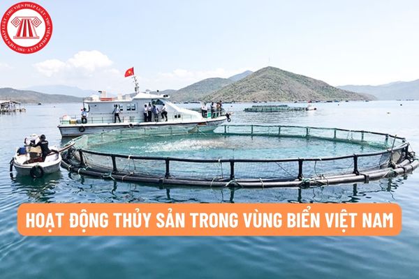 Người nước ngoài có tàu được cấp phép hoạt động thủy sản trong vùng biển Việt Nam cần có điều kiện gì?