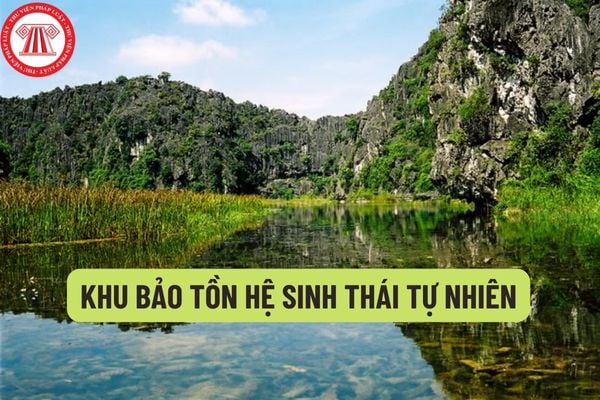 Nội dung của dự án thành lập khu bảo tồn hệ sinh thái tự nhiên bao gồm những gì? Cơ quan nào có thẩm quyền quyết định thành lập khu bảo tồn cấp quốc gia?