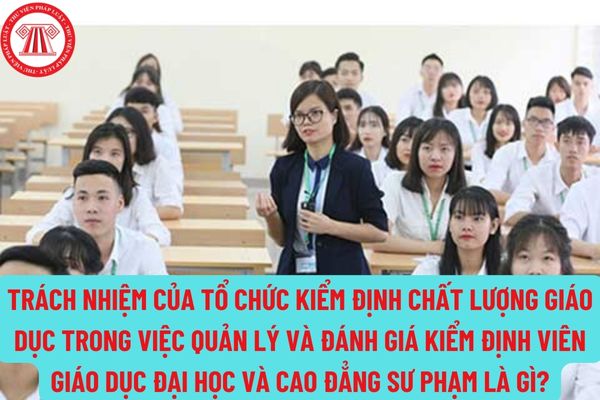 Trách nhiệm của tổ chức kiểm định chất lượng giáo dục trong việc quản lý và đánh giá kiểm định viên giáo dục đại học và cao đẳng sư phạm là gì?