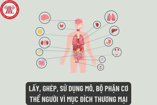 Hành vi lấy, ghép, sử dụng mô, bộ phận cơ thể người vì mục đích thương mại bị phạt bao nhiêu tiền?