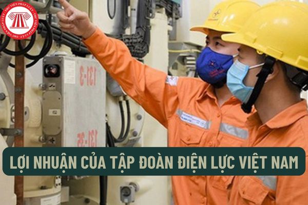 Lợi nhuận thực hiện trong năm của Tập đoàn Điện lực Việt Nam là gì? Phân phối lợi nhuận của Tập đoàn Điện lực Việt Nam được thực hiện như thế nào?