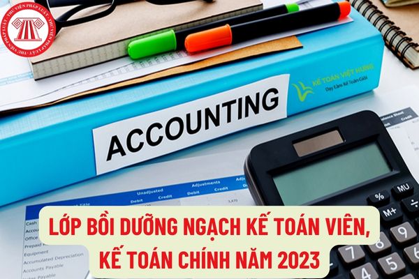 Thời gian khai giảng khóa học lớp bồi dưỡng ngạch Kế toán viên, Kế toán chính năm 2023 tại Thành phố Hồ Chí Minh?