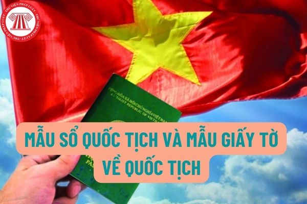 Đối tượng nào được sử dụng mẫu sổ quốc tịch và mẫu giấy tờ về quốc tịch? Khi sử dụng mẫu sổ quốc tịch và mẫu giấy tờ về quốc tịch phải tuân thủ nguyên tắc gì?