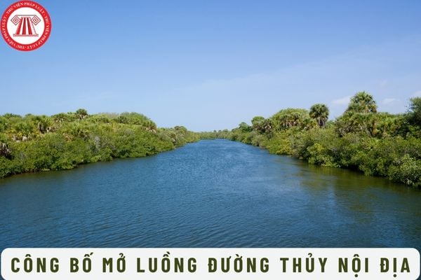 Mẫu Đơn đề nghị công bố mở luồng đường thủy nội địa mới nhất hiện nay là mẫu nào? Trình tự công bố mở luồng đường thủy nội địa quốc gia như thế nào?