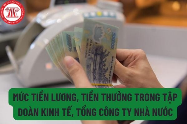 Mức tiền lương, tiền thưởng trong tập đoàn kinh tế, tổng công ty nhà nước được xác định như thế nào?