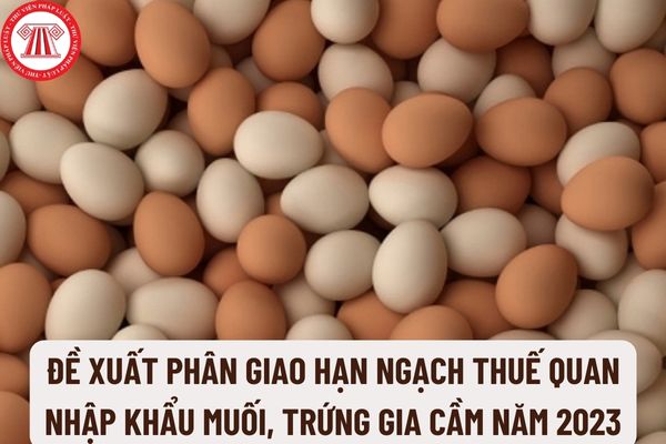 Đề xuất phân giao hạn ngạch thuế quan nhập khẩu muối, trứng gia cầm năm 2023 cụ thể như thế nào?